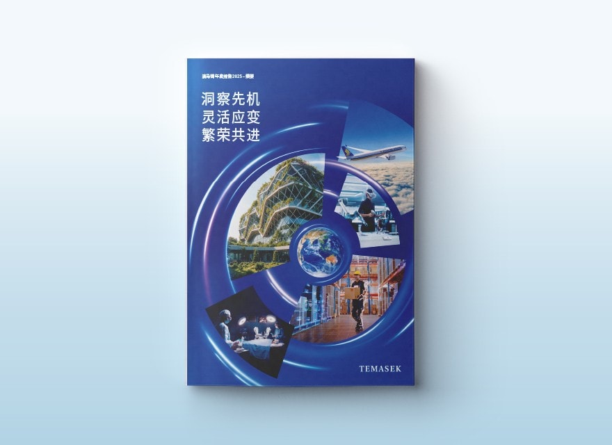《淡马锡年度报告2025摘要》